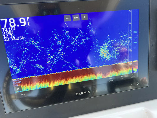 Unlock the Depths: Sonar Tips for Better Fishing