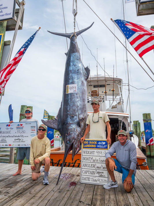Team Marlin Fever's record 919.9-pound blue marlin on the Big Rock Landing scale on Day 2 of the 2026 Big Rock Blue Marlin Tournament, June 9 2026.
