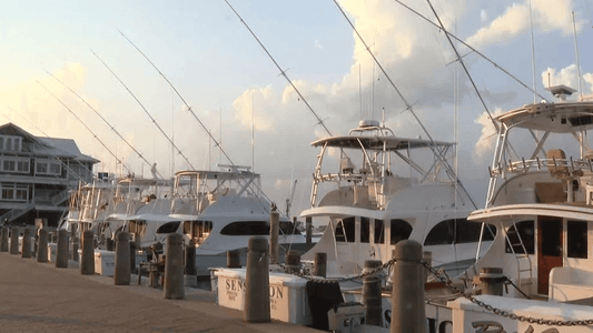 WCTI-TV Big Rock Blue Marlin Tournament Day 5 broadcast coverage as stiff offshore winds held most of the fleet inshore, June 12 2026.