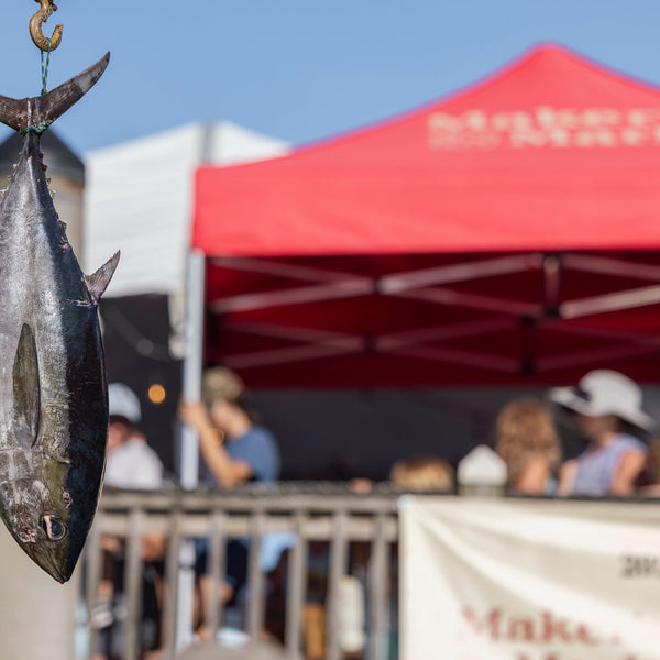 A gamefish hangs on the scale at the weigh station during the Edisto Invitational Billfish Tournament.