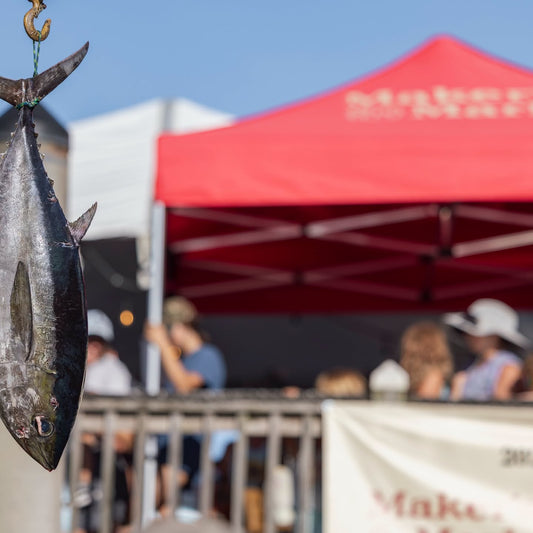 A gamefish hangs on the scale at the weigh station during the Edisto Invitational Billfish Tournament.