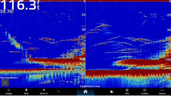 Garmin CHIRP sonar display showing a clean bottom return with bait pods stacked above a hard-bottom contour — typical offshore chartplotter view