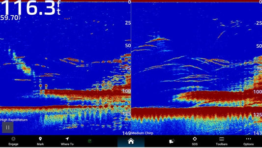 Garmin CHIRP sonar display showing a clean bottom return with bait pods stacked above a hard-bottom contour — typical offshore chartplotter view