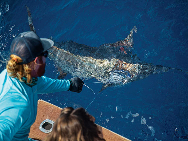 Best Practices for Billfish Catch-and-Release: Fight Time, Revival, and What the Science Says