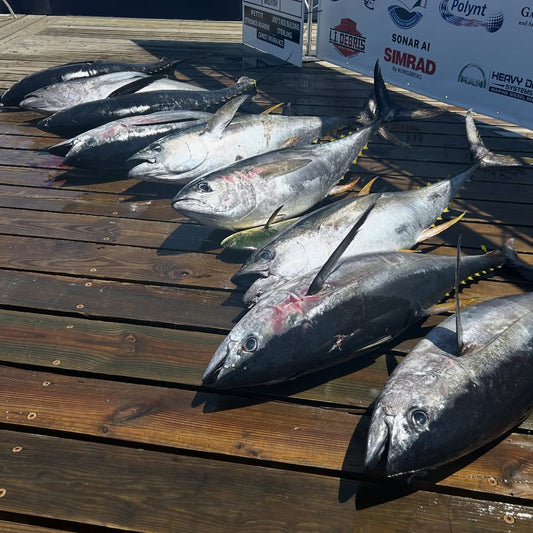 A spread of bigeye and yellowfin tuna laid out on the dock beneath the Montauk Canyon Challenge sponsor backdrop
