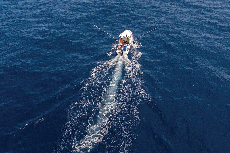How to Read Offshore Structure for Pelagic Fish