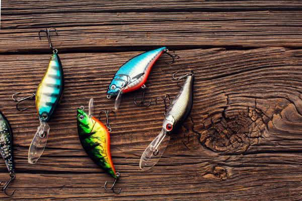 Offshore trolling spread with rigged lures and ballyhoo set behind the transom — lure selection in action. Credit: MagBay Lures