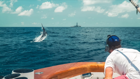 SFC angler at the transom watches a blue marlin jump behind the boat during Bay Point Day 2