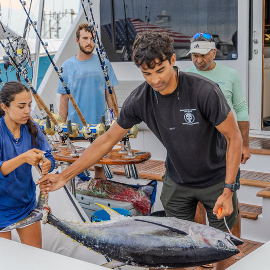 A crew handles a yellowfin tuna at the transom during the 2026 South Jersey Yacht Sales Offshore Showdown off Cape May