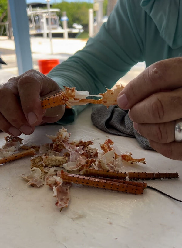 Two hands cracking cooked Florida spiny lobster antennae at an outdoor Keys dockside table, broken coral-orange shells in the foreground — the table moment the recipe is built around. Credit Florida Sport Fishing.